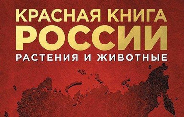 Конкурс.