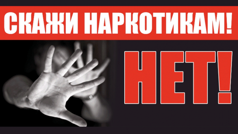Профилактика правонарушений.